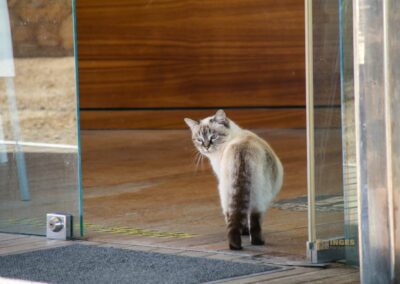 in der burganlage von denia_4238