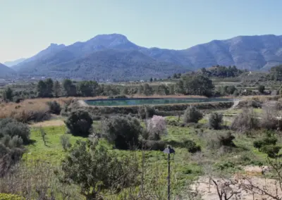 Überwintern an der Costa Blanca in Calpe - Woche 5 74 alcalali_6347