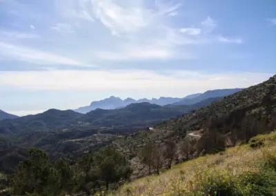Überwintern an der Costa Blanca in Calpe - Woche 5 100 blick nach tarbena_6478