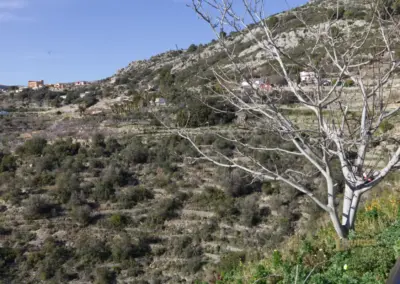 Überwintern an der Costa Blanca in Calpe - Woche 5 103 blicke vom mirador de tarbena_0073