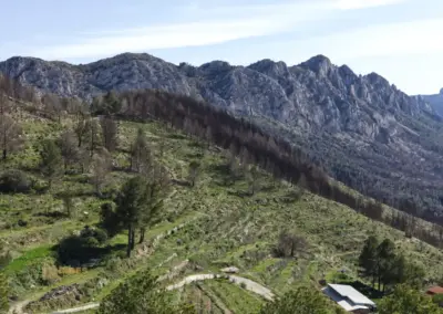 Überwintern an der Costa Blanca in Calpe - Woche 5 97 coll de rates_0049