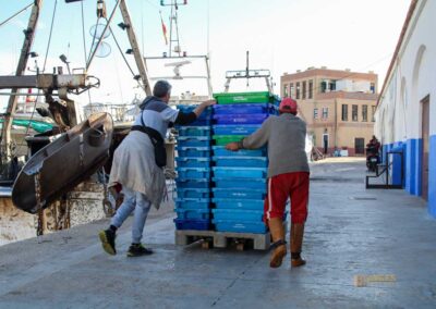 Überwintern an der Costa Blanca in Calpe - Woche 5 19 fisch direkt vom schiff lonja in calpe_5810