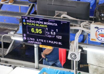 Überwintern an der Costa Blanca in Calpe - Woche 5 24 fischauktion lonja calpe_5822