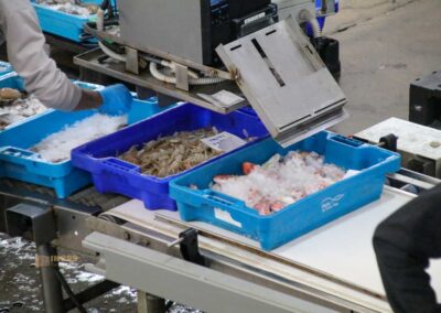 Überwintern an der Costa Blanca in Calpe - Woche 5 28 fischauktion lonja calpe_5867