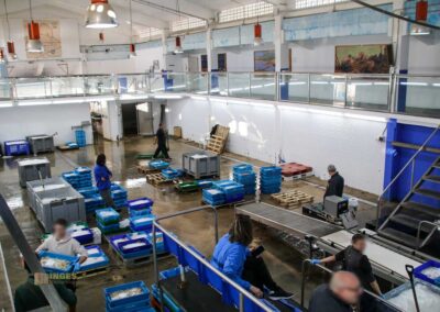 Überwintern an der Costa Blanca in Calpe - Woche 5 30 fischauktion lonja calpe_5879