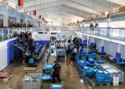 Überwintern an der Costa Blanca in Calpe - Woche 5 31 fischauktion lonja calpe_5892