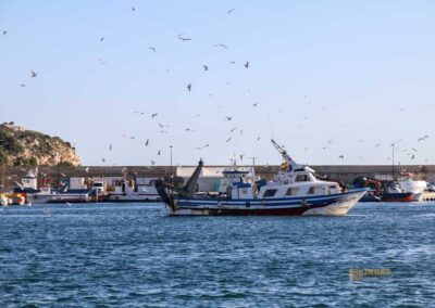 Überwintern an der Costa Blanca in Calpe - Woche 5 9 fischerhafen calpe_5755