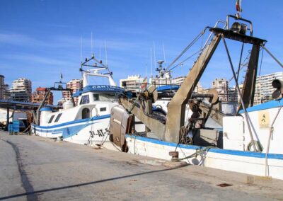 Überwintern an der Costa Blanca in Calpe - Woche 5 13 fischerhafen calpe_5781