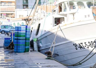 Überwintern an der Costa Blanca in Calpe - Woche 5 14 fischerhafen calpe_5783