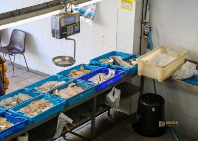 Überwintern an der Costa Blanca in Calpe - Woche 5 20 fischverkauf in der lonja in calpe_5891