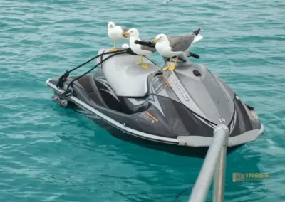 jetskifahrt auf ibiza_1191