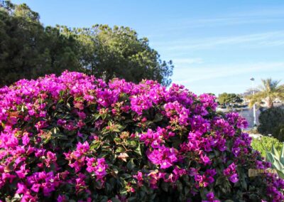 Überwintern an der Costa Blanca in Calpe - Woche 5 8 playa de la fossa calpe_5735
