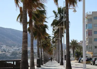 straße von altea nach l'albir_6645