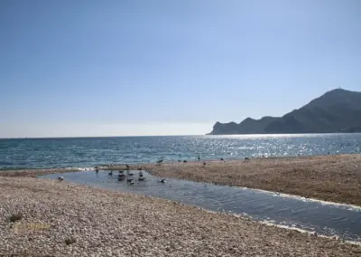 weg von altea nach l'albir_6584