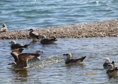 weg von altea nach l'albir_6591